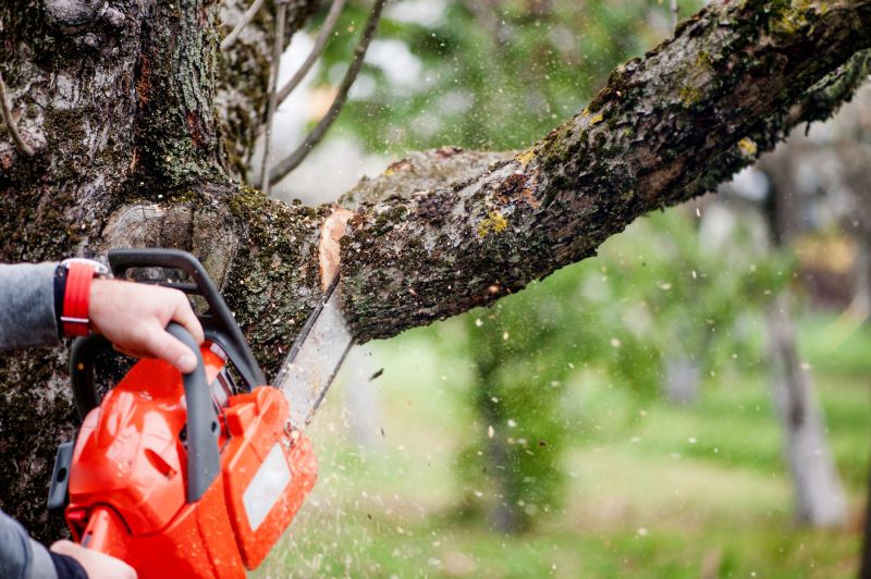 Apple Tree Removal in Bucks County, PA
