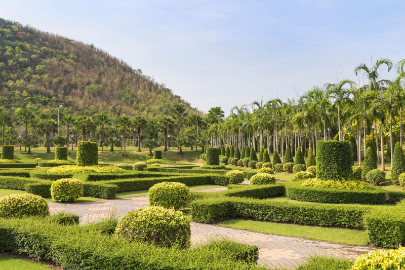 Budget-Smart Upgrades